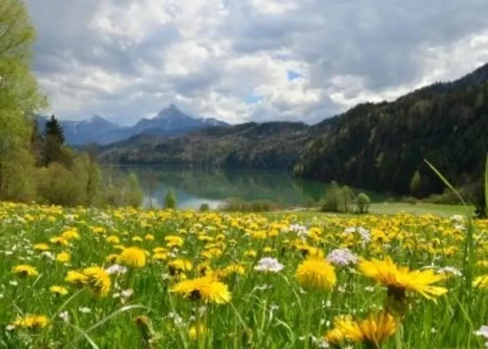Schloßberg